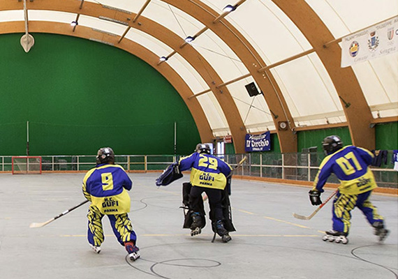 Roller School
